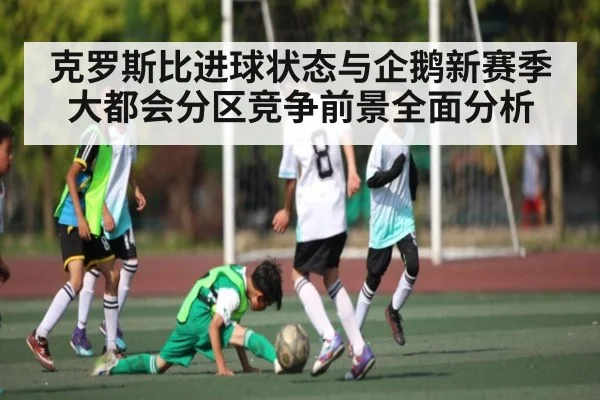 克罗斯比进球状态与企鹅新赛季大都会分区竞争前景全面分析