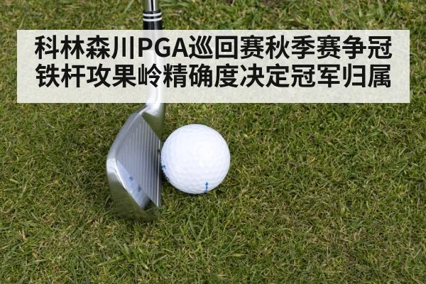 科林森川PGA巡回赛秋季赛争冠 铁杆攻果岭精确度决定冠军归属