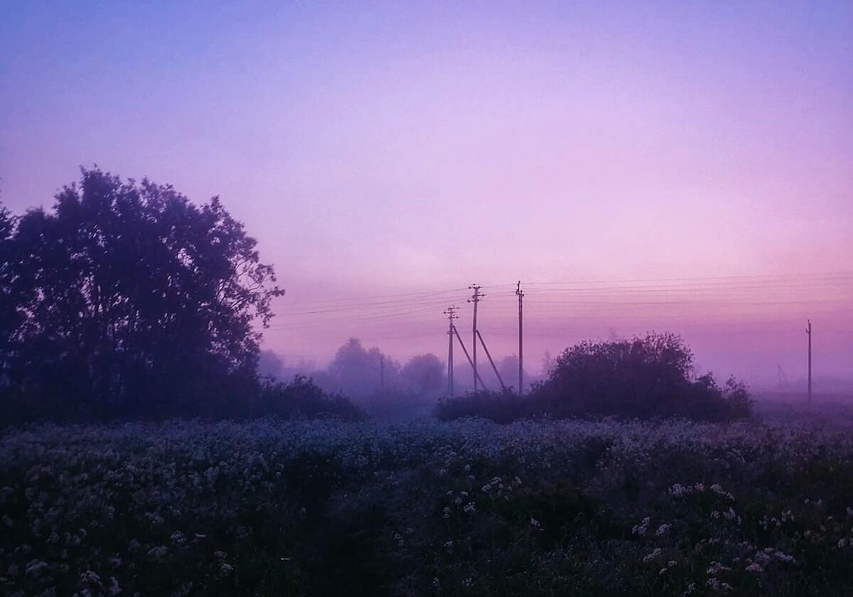 BetVictor伟德官网：开启全球体育盛宴的新入口