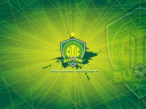 开云体育官网-记者:国安总负债超17亿 收购股权企业需承担债务